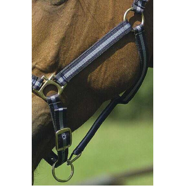 Cabezada de nylon forrada de cuero Marino / azul cielo Cabezada de nylon forrada de cuero Marino / azul cielo