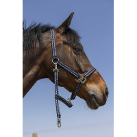 Cabezada Norton Grooming Negro