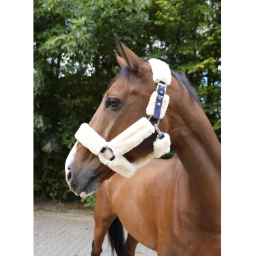 Cabezada Equi-Theme Teddy Marina / crudo Azul