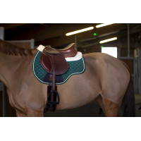 Mantilla/salvacruz Norton Verde