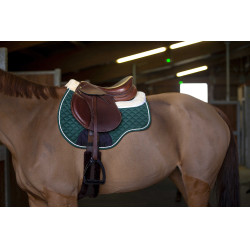 Mantilla/salvacruz Norton Verde