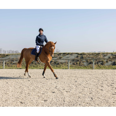 Chaqueta acolchada Pro Series Diagonal Azul marino Chaqueta acolchada Pro Series Diagonal Azul marino