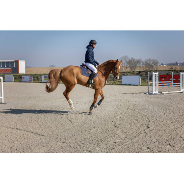 Chaqueta acolchada Pro Series Diagonal Azul marino Chaqueta acolchada Pro Series Diagonal Azul marino