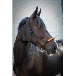 Cabezada de cuadra Pénélope American Negro