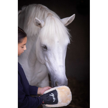 Guante de limpieza Pénélope Negro