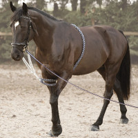 Riendas auxiliares soft rope Canter marine/blanc Azul Riendas auxiliares soft rope Canter marine/blanc Azul