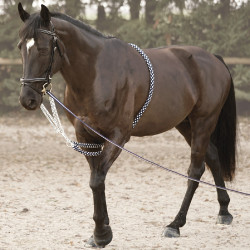 Riendas auxiliares soft rope Canter Riendas auxiliares soft rope Canter