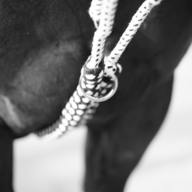 Riendas auxiliares soft rope Canter Riendas auxiliares soft rope Canter