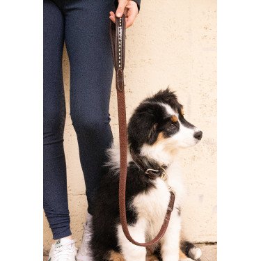 Correa para perros Pénélope Rubber Havana Marrón