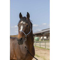 Cabezada Norton Nylon Suave Azul marino