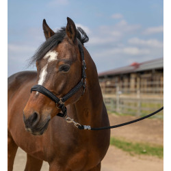 Cabezada de cuadra EQUITHÈME Nylon Strass Negro