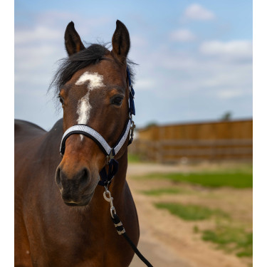 Cabezada de cuadra EQUITHÈME Nylon Check marine, contrastes noirs Azul
