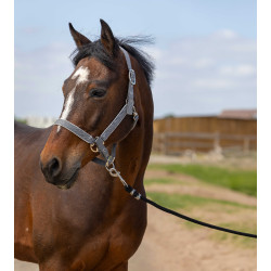 Cabezada Equithème Nylon light Gris