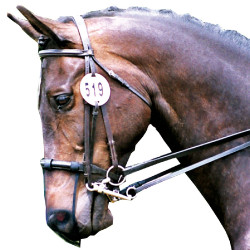 Protector nariz Equilibrium Protector nariz Equilibrium
