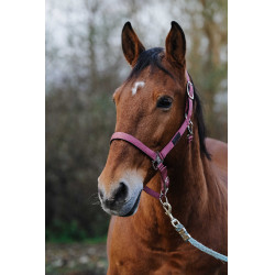 Cabezada de nailon Spring Equithème Rosa