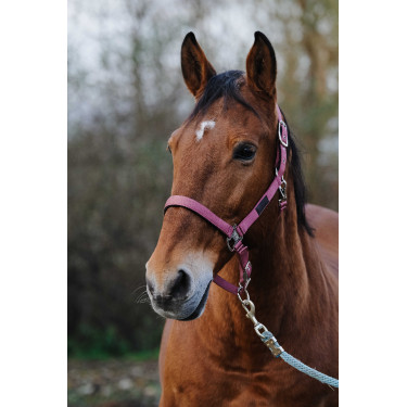 Cabezada de nailon Spring Equithème Rosa