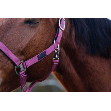 Cabezada de nailon Spring Equithème Rosa