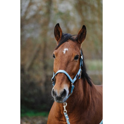 Cabezada de nailon Spring Equithème Turquesa Azul