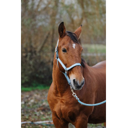 Cabezada de nailon Spring Equithème Turquesa Azul