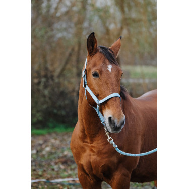 Cabezada de nailon Spring Equithème Turquesa Azul