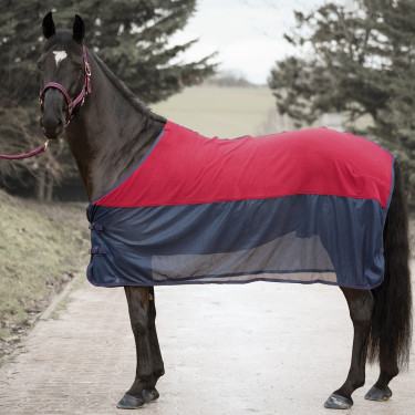 Conjunto de cabezada sin bocado, ramal y manta de sudor Canter