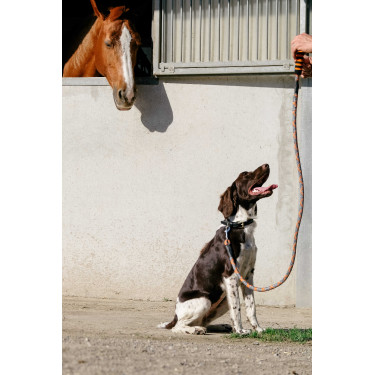 Correa para perro con asa EQUITHÈME - Haspen Negro / empuñadura naranja