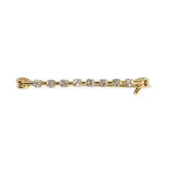 Broche Shires