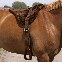 Mantilla de monta a pelo NORTON Confort Castaño Marrón