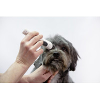 Esquiladora Aesculap Exacta...