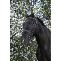 Cabezada Riding World muserola francesa Negro