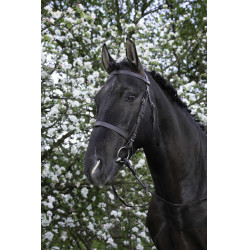Cabezada Riding World muserola francesa Havana Marrón