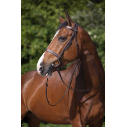 Cabezada Riding World muserola francesa Havana Marrón