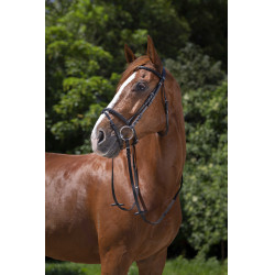 Cabezada Riding World muserola con cierrabocas Negro Cabezada Riding World muserola con cierrabocas Negro