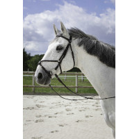 Cabezada Riding World muserola mejicana Negro Cabezada Riding World muserola mejicana Negro