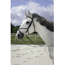 Cabezada Riding World muserola mejicana Havana Marrón