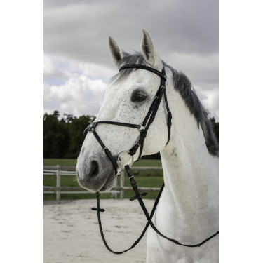 Cabezada Riding World muserola mejicana Negro