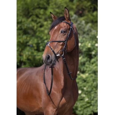 Cabezada Riding World muserola mejicana Negro