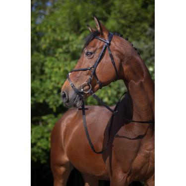Cabezada Riding World muserola mejicana Negro