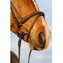 Cabezada RIDING WORLD muserola doble con cierraboca Havana Marrón