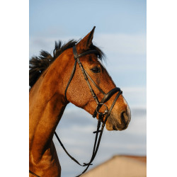 Cabezada RIDING WORLD muserola doble con cierraboca Negro