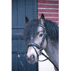 Cabezada Pénélope Eden Negro