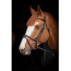 Birdon Oxford Performance Pénélope Negro