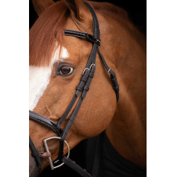 Birdon Oxford Performance Pénélope Negro