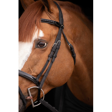 Birdon Oxford Performance Pénélope Negro