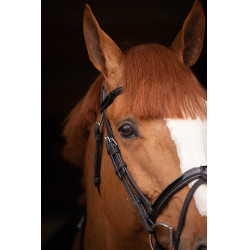 Birdon Oxford Performance Pénélope Negro