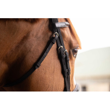 Birdon Oxford Performance Pénélope Negro