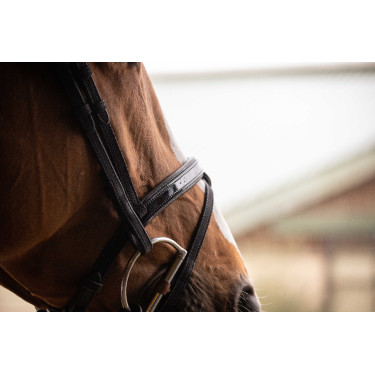 Birdon Oxford Performance Pénélope Negro