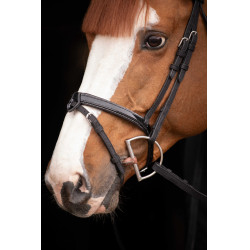 Birdon Oxford Performance Pénélope Negro