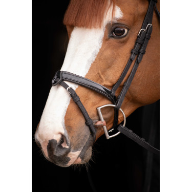 Birdon Oxford Performance Pénélope Negro