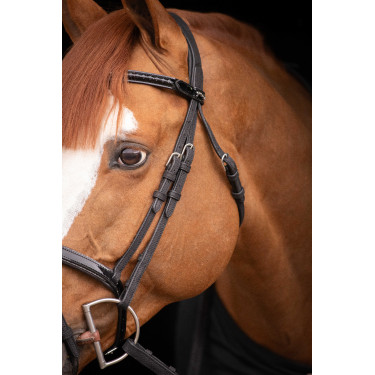 Birdon Oxford Performance Pénélope Negro